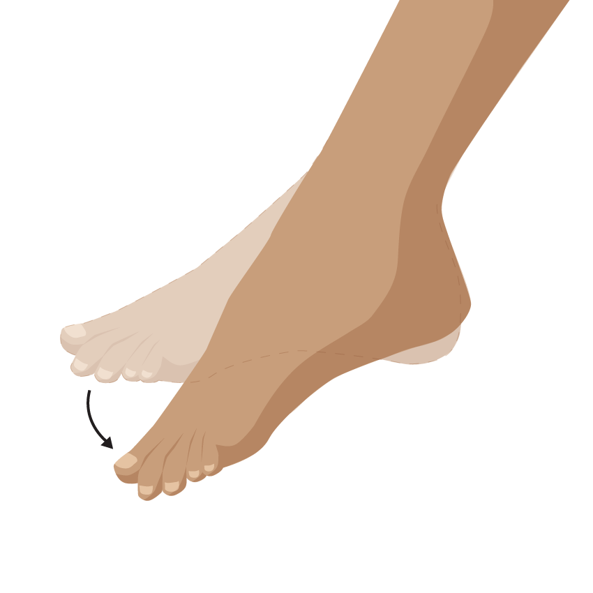 Close up image of person pointing foot down, away from leg