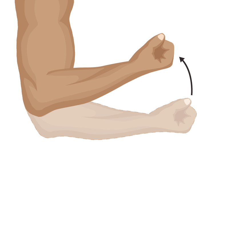 Elbow bending into elbow flexion